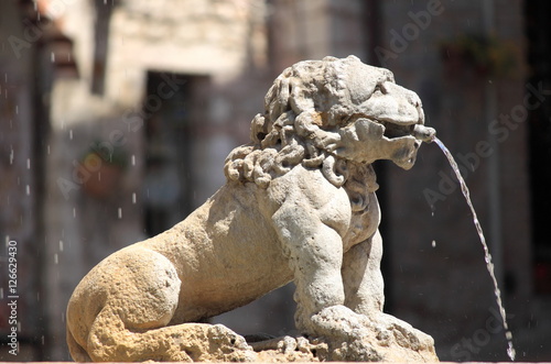Lion fountain in Assisi, Italy