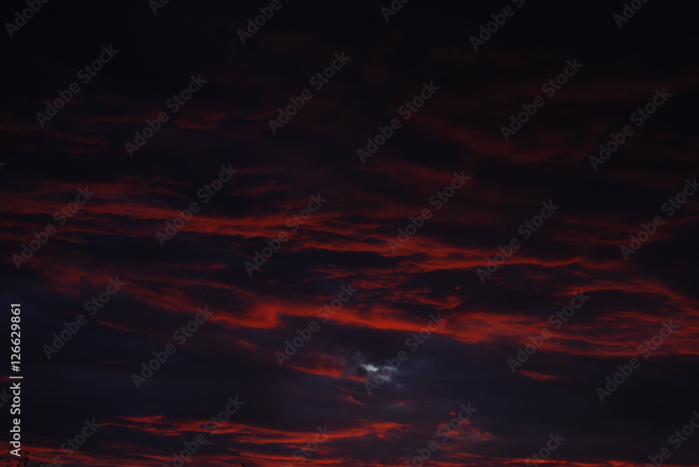 Red Sky Red Sky