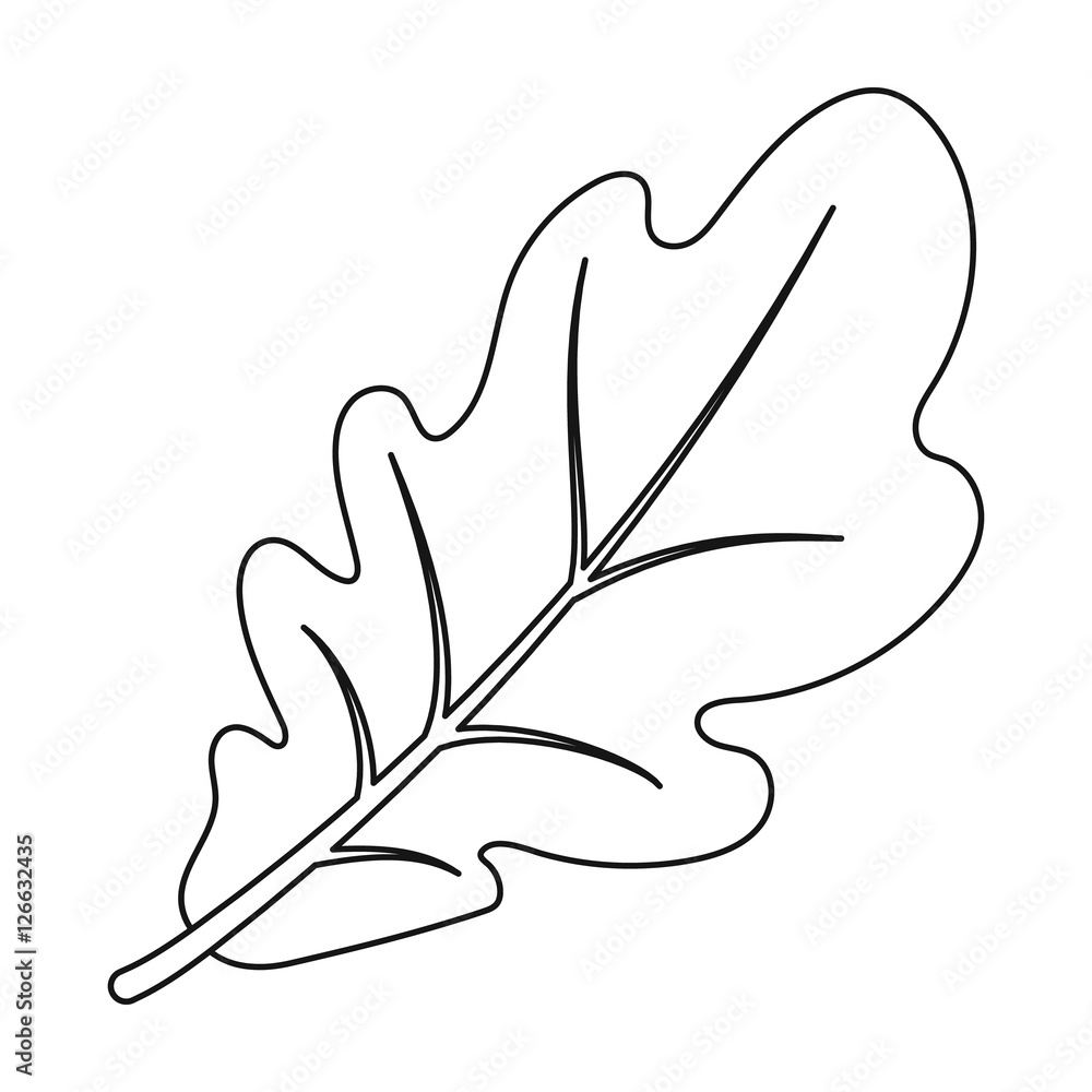 white oak leaf vector