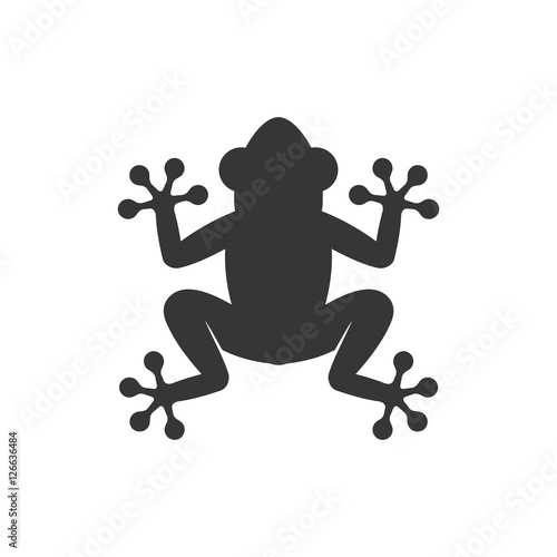 Frog Icon Logo on White Background. Vector