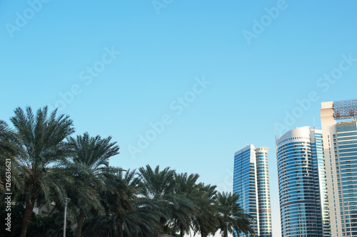 beautiful apartment buildings and palm trees in the city © timonko