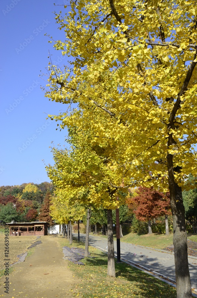 Naklejka premium 가을