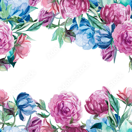  wreath of peonies isolate on white background