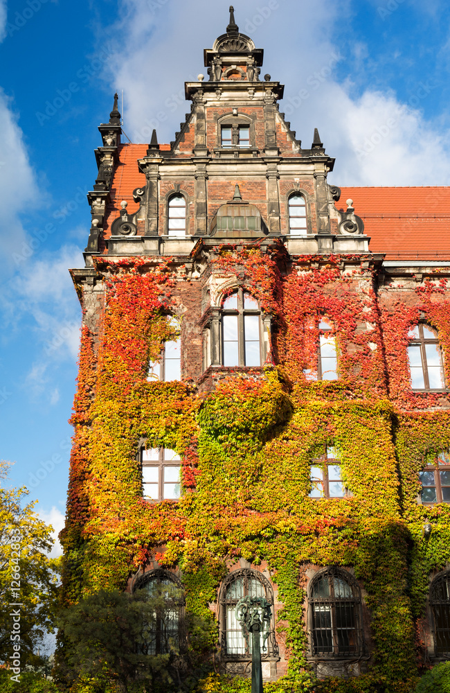 Obraz premium old building of National Museum with autumn ivy in Wroclaw, Poland
