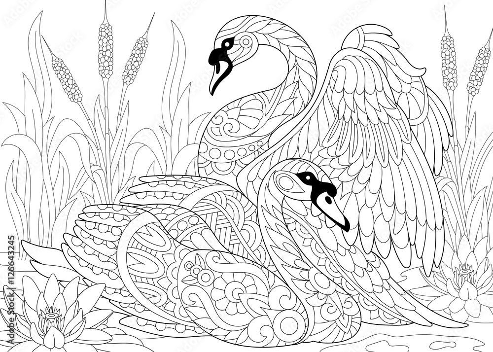 Obraz premium Stylized couple of two swans among lotus flowers (water lilies) and pond plants. Freehand sketch for adult anti stress coloring book page with doodle and zentangle elements.
