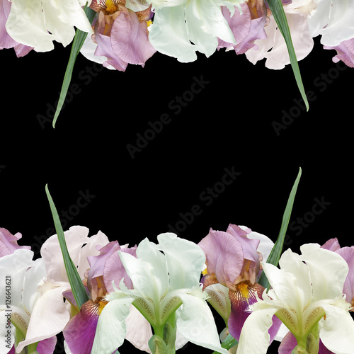 Fototapeta Naklejka Na Ścianę i Meble -  Beautiful summer background with iris flowers 