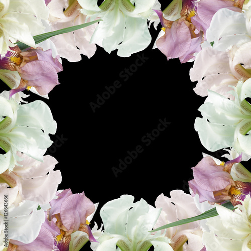 Fototapeta Naklejka Na Ścianę i Meble -  Beautiful summer background with iris flowers 