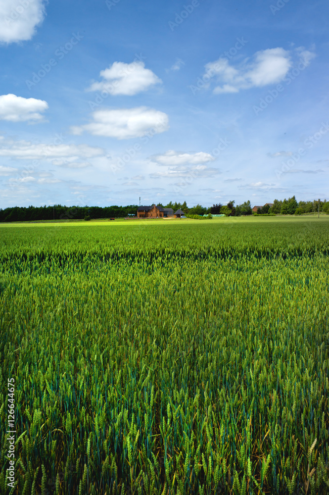 field agriculture farm crops england uk field agriculture farm crops england uk