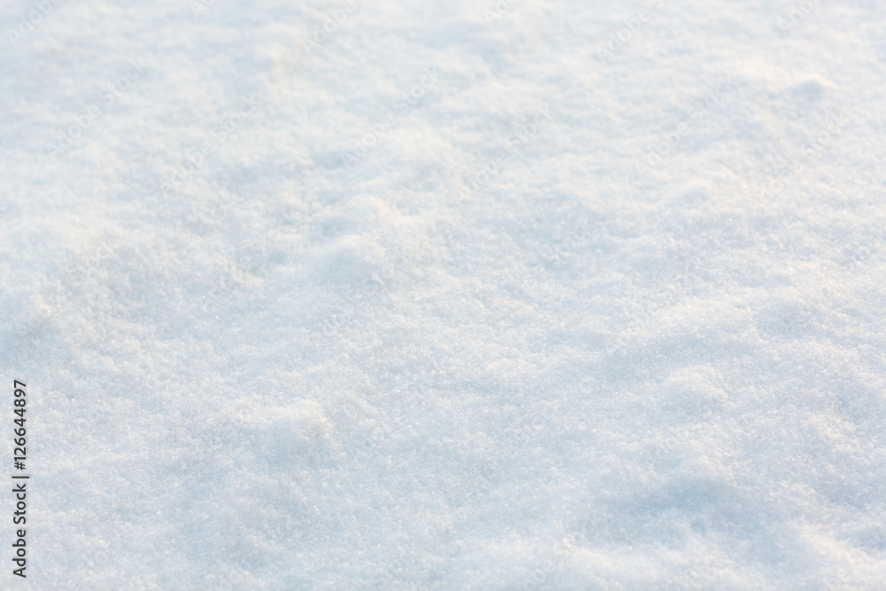 Fototapeta premium snow cover outdoors