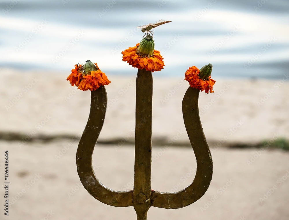Φωτογραφία The metal trident of Shiva with pinned on the ends of flowers of tagetes and sit