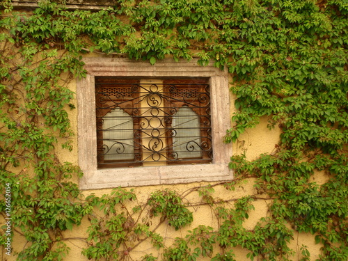 The window and the climbers