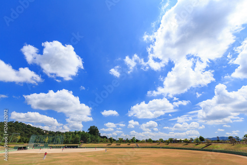 Schilderij op canvas 夏空と野球場