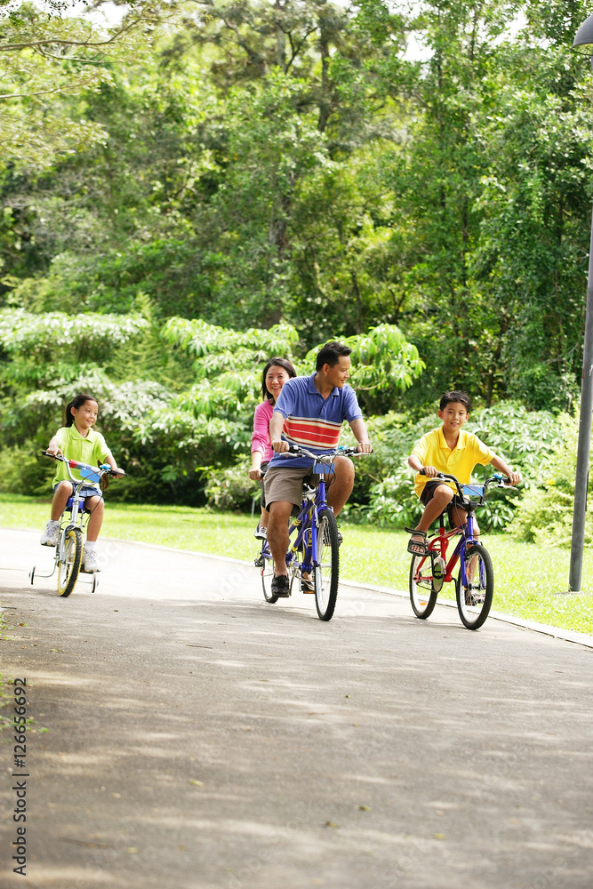 Naklejka premium Family cycling, side by side