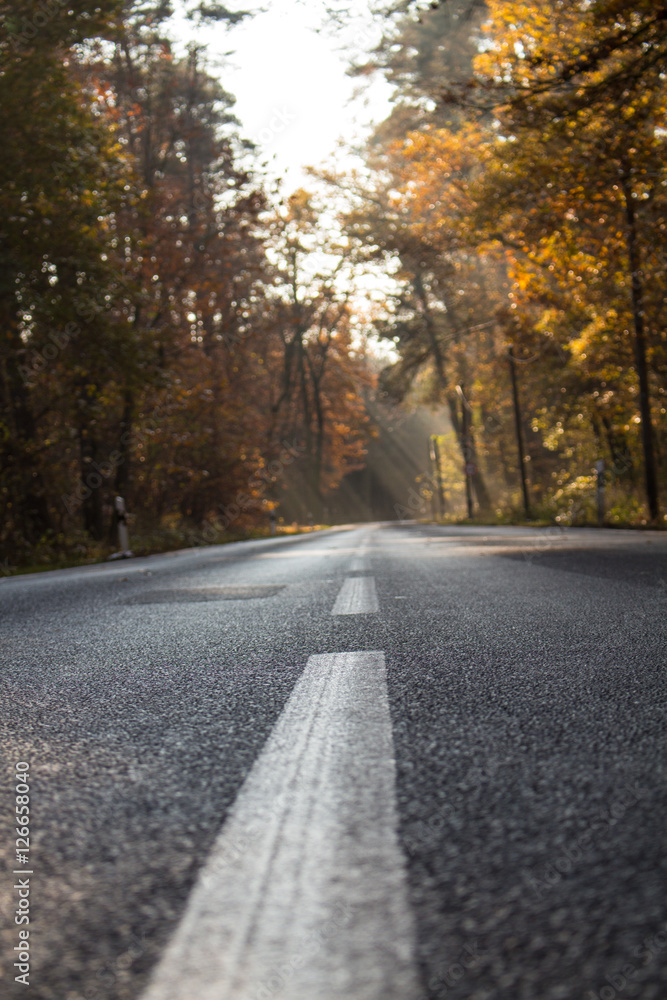 Empty wet country road with foliage trees on a late autumn day Empty wet country road with foliage trees on a late autumn day