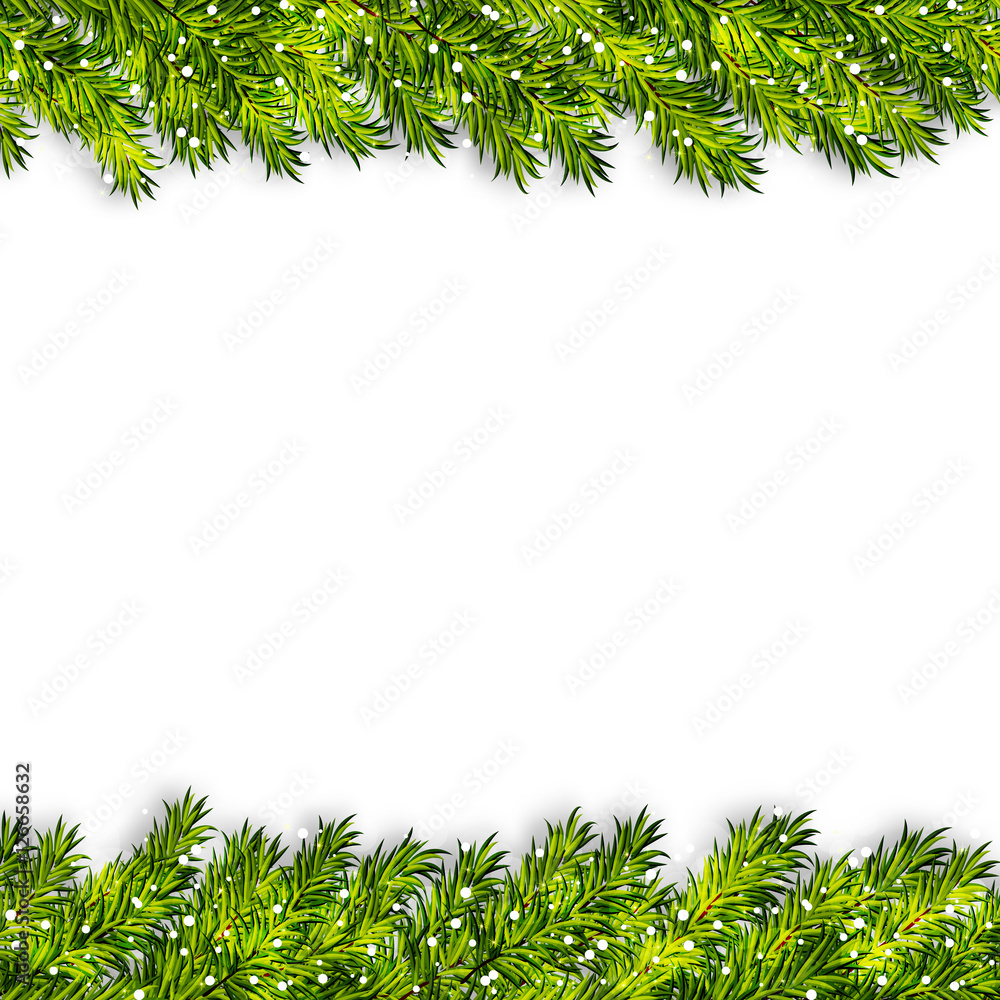 Christmas tree branches frame vector Christmas tree branches frame vector