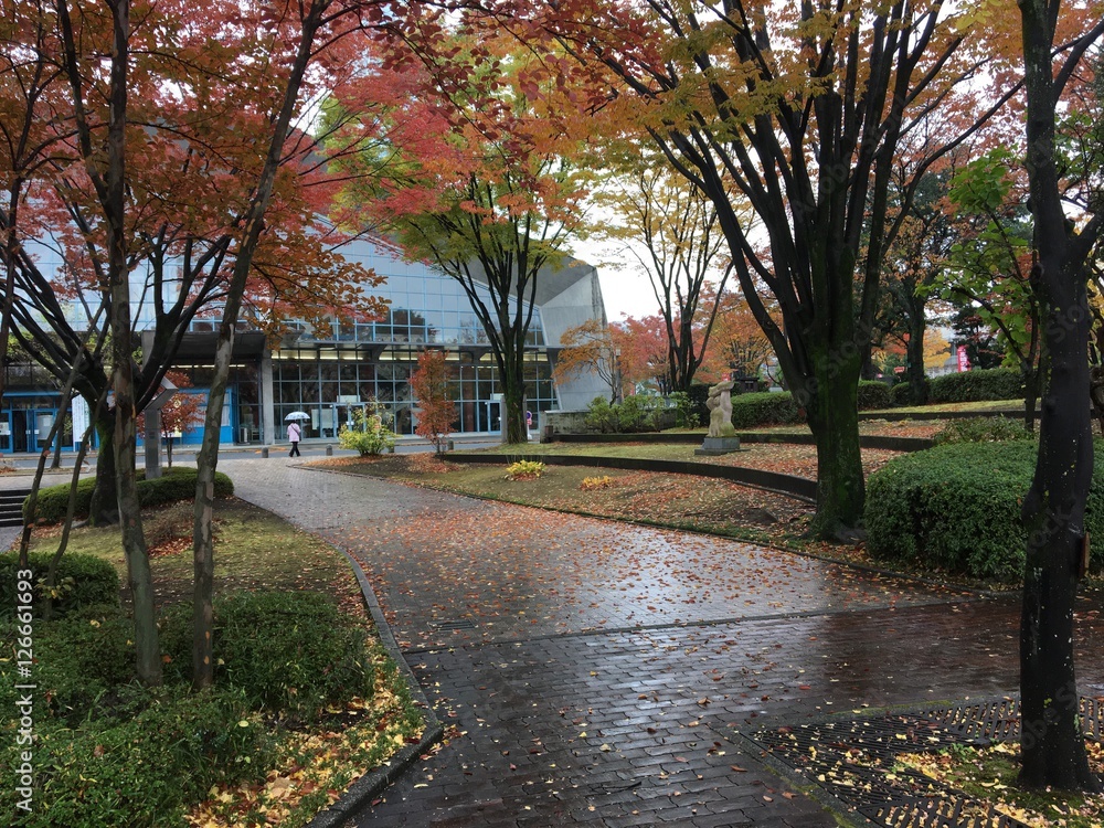autumn in Takasaki