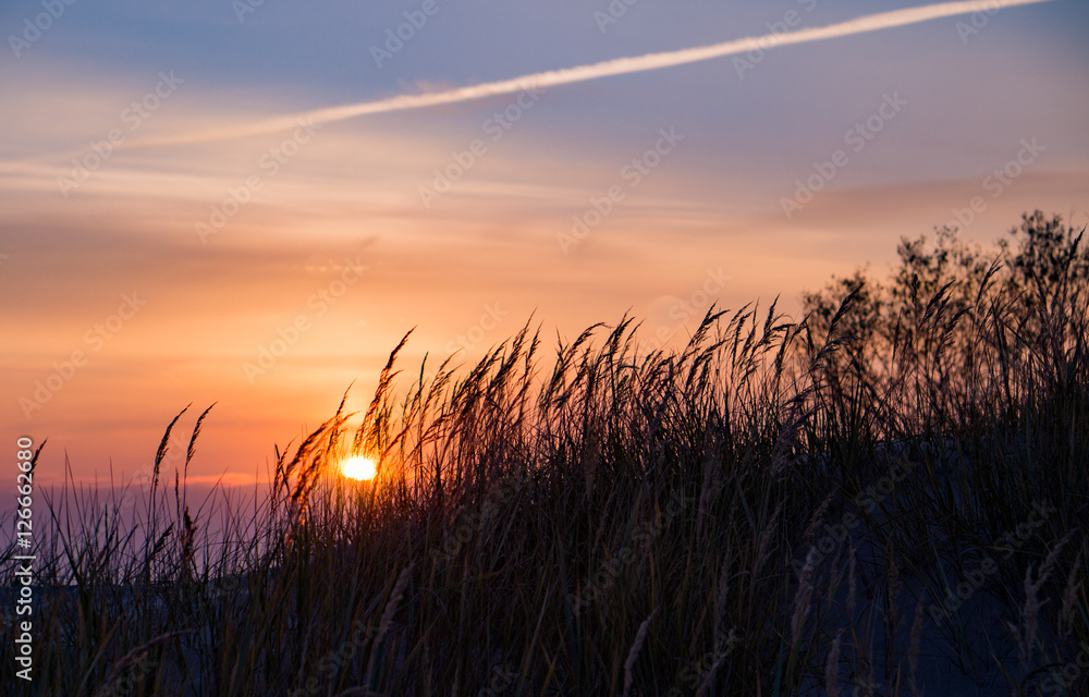 Naklejka premium sunset