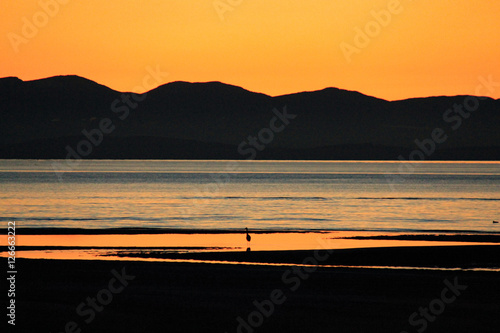 Sunset with mountain backdrop and bird silhouette