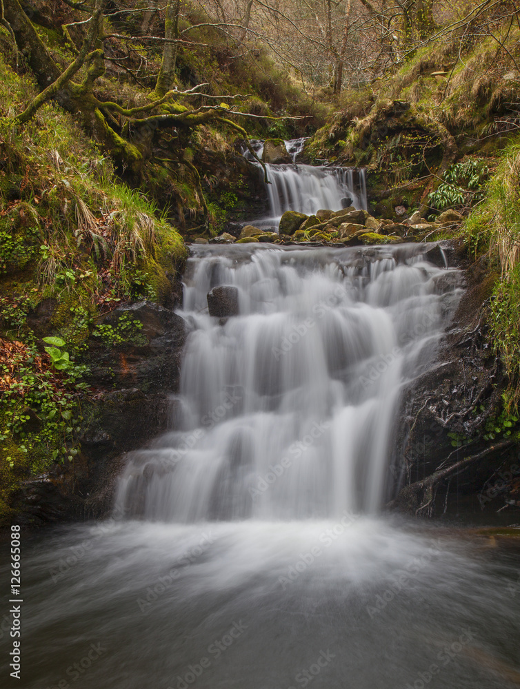 Fototapeta premium Waterfall