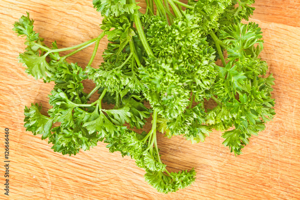 Fresh parsley isolated on white background. Condiments and spices. Fresh parsley isolated on white background. Condiments and spices.