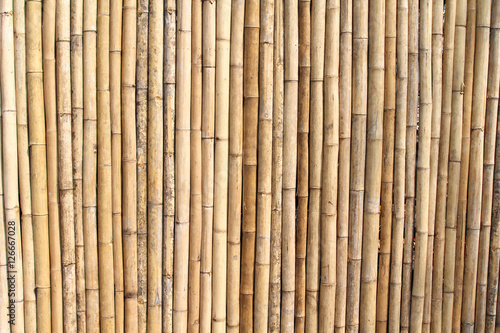 Beautiful yellow bamboo texture background.