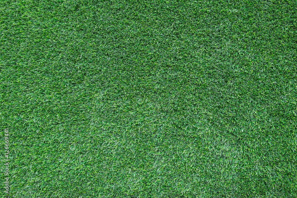 Obraz premium green grass