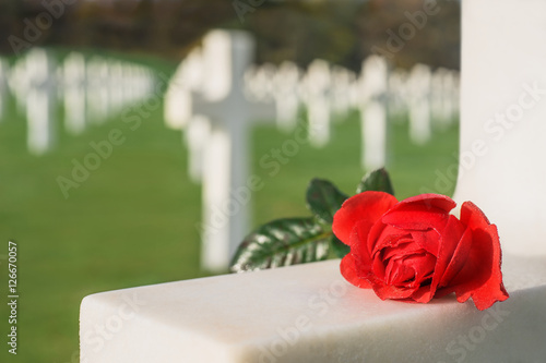 Liebesbeweis rote Rose liegt auf dem Grabkreuz eines Soldaten -  Love red rose rests on the cross of a soldier's grave photo