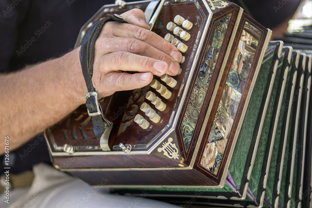 Man playing the bandoneon traditional tango instrument Stock-Foto | Adobe  Stock