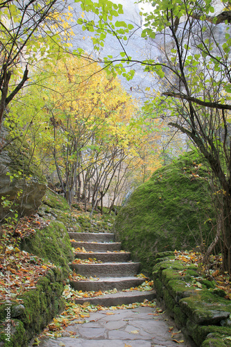 Каменные ступеньке в осеннем лесу