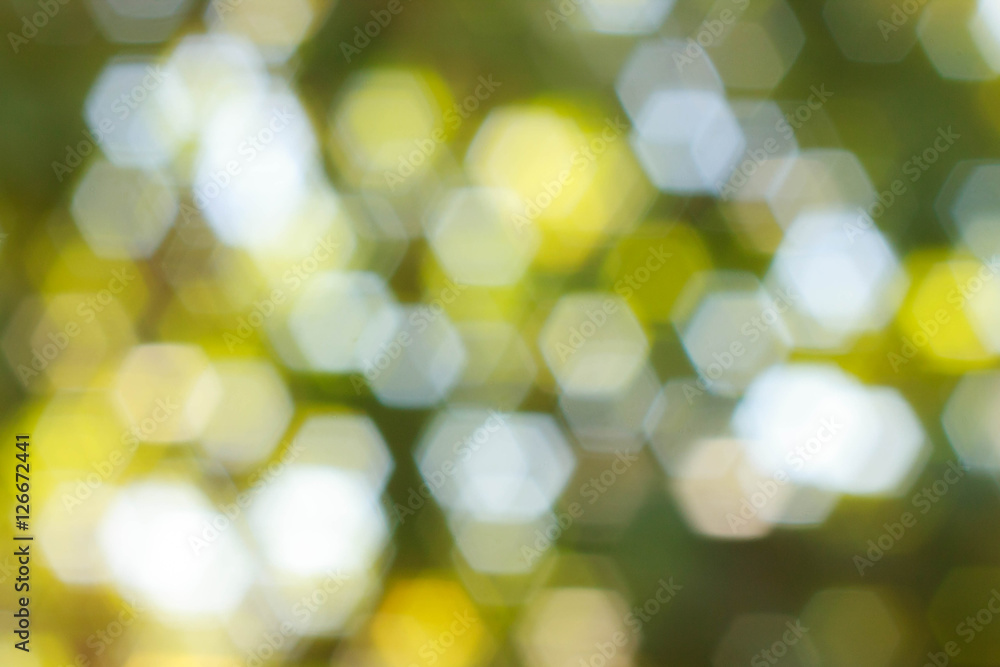 Obraz premium beautiful bokeh abstract natural blur background, defocused leav