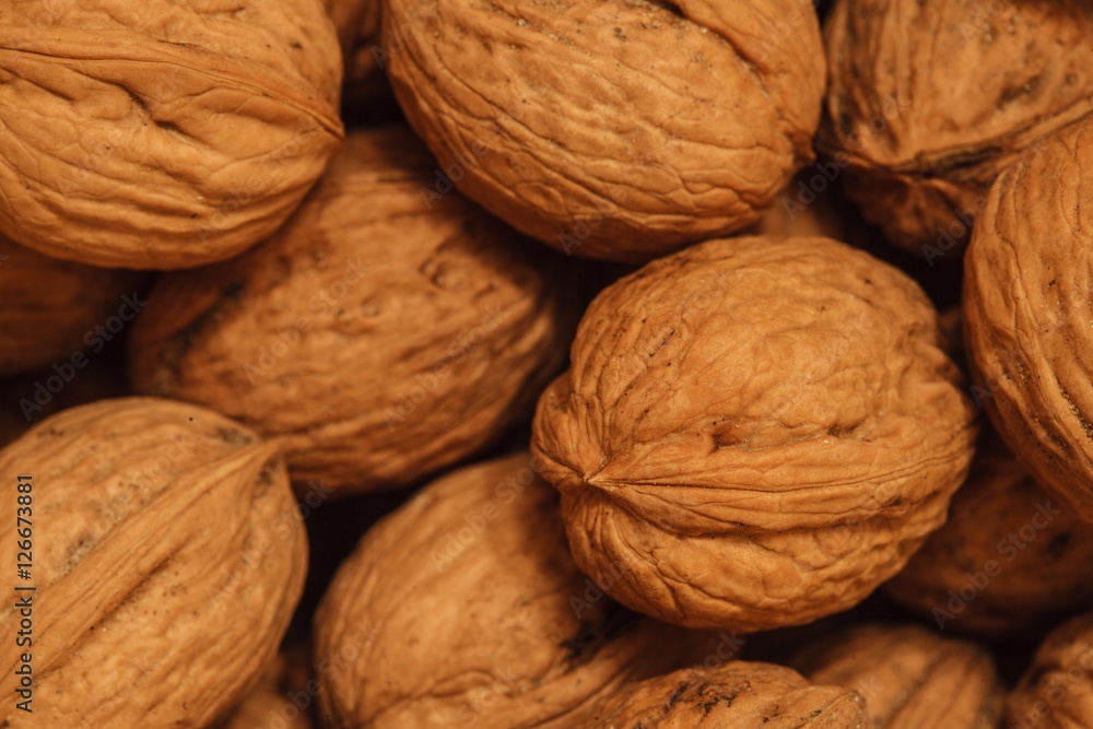 dry walnuts photo in the nutshell, circassian walnuts dry walnuts photo in the nutshell, circassian walnuts