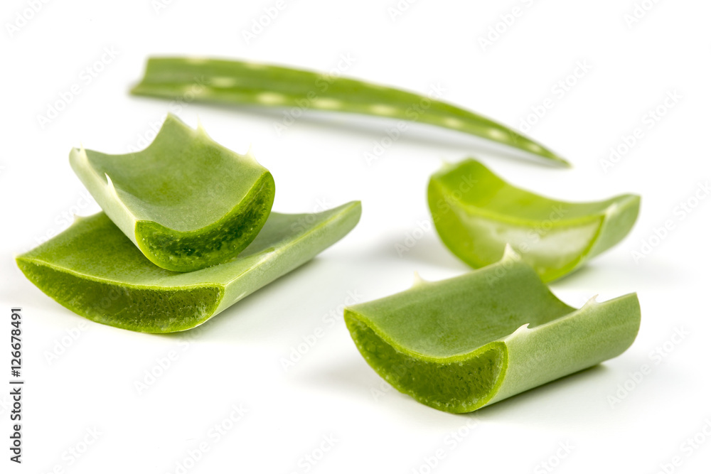 pieces of aloe vera leaves isolated on white pieces of aloe vera leaves isolated on white