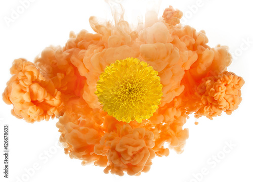 Fototapeta Naklejka Na Ścianę i Meble -  yellow dahlia in an orange soft cloud