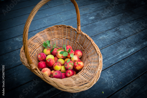 Obraz na płótnie Apples in wicker basket at dark plank floor with sprig of mint w salonie
