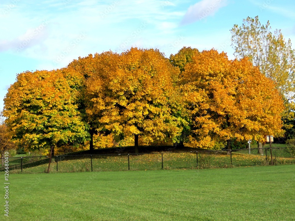 Thornhill beautiful autumn landscape 2016