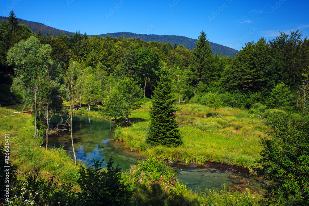 Serene landscape in Plitvice lake national park, Croatia Serene landscape in Plitvice lake national park, Croatia