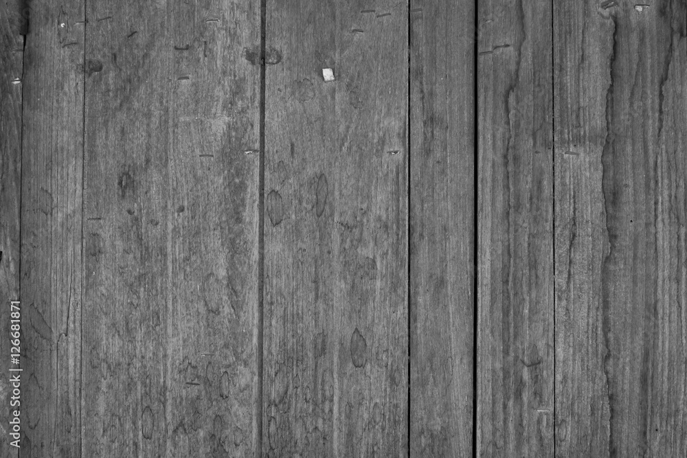 Fototapeta premium Natural knotted gray weathered wood plank texture background