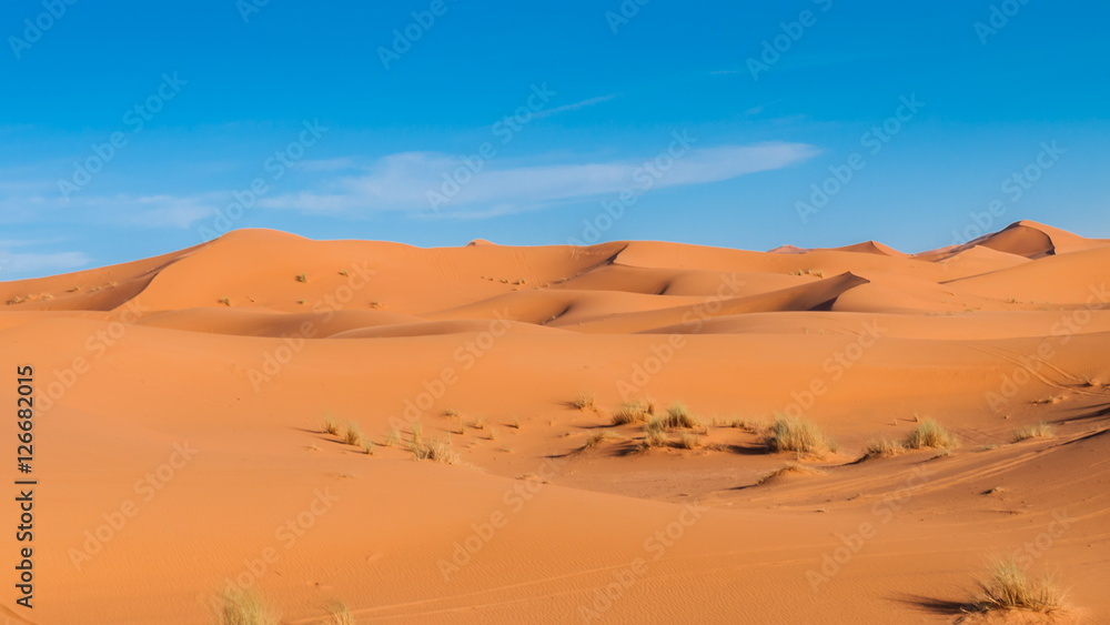 In den Dünen der Sahara bei Merzouga (Erg Chebbi); Marokko