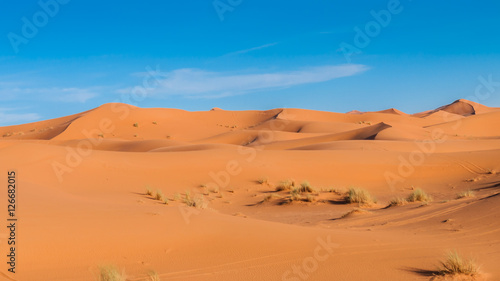 In den D  nen der Sahara bei Merzouga  Erg Chebbi   Marokko