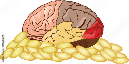 medicina per il cervello omega 3