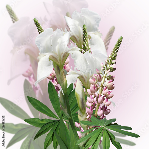 Fototapeta Naklejka Na Ścianę i Meble -  Bouquet of white irises and pink lupine 