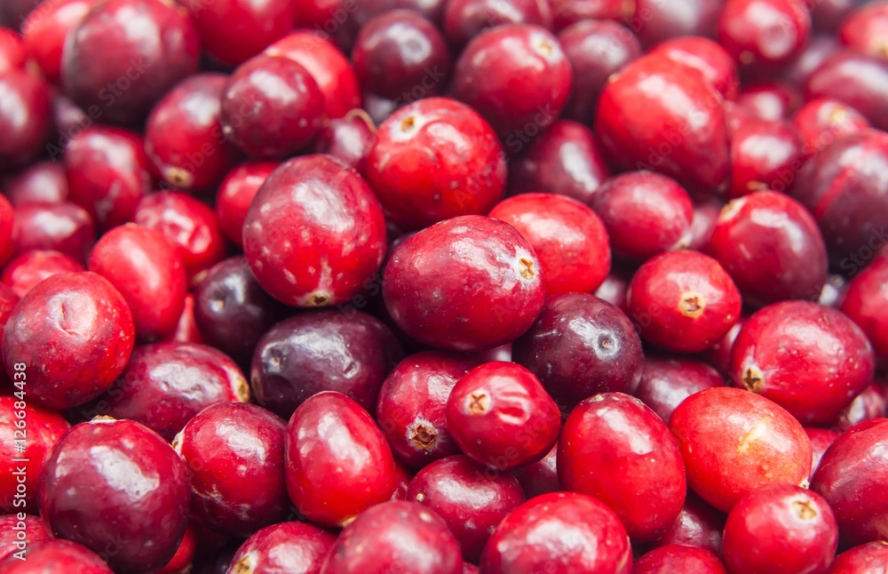 Fresh cranberries Fresh cranberries