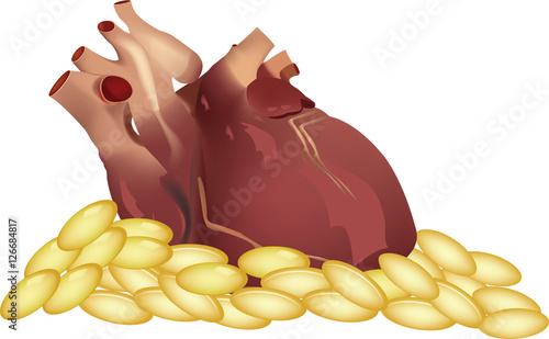 cura per la circolazione omega 3