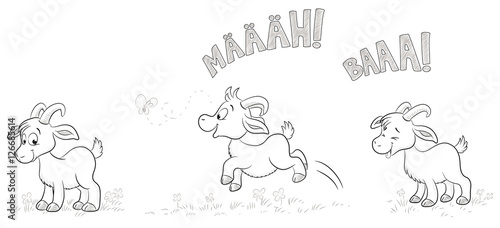 Vektor Illustration von drei Ziegen in unterschiedlichen Positionen