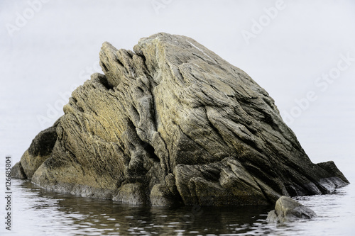 Big rock in water near shore