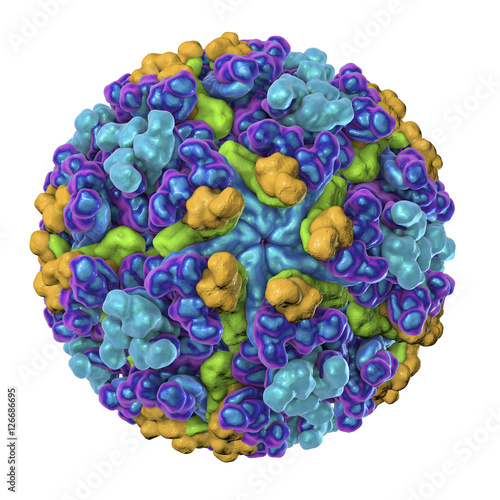 Chikungunya virus isolated on white background, 3D illustration. Emerging mosquito-borne RNA virus from Togaviridae family that can cause outbreaks of a debilitating arthritis-like disease