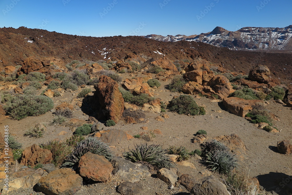 Fototapeta premium Teneriffa - Im Teide Nationalpark