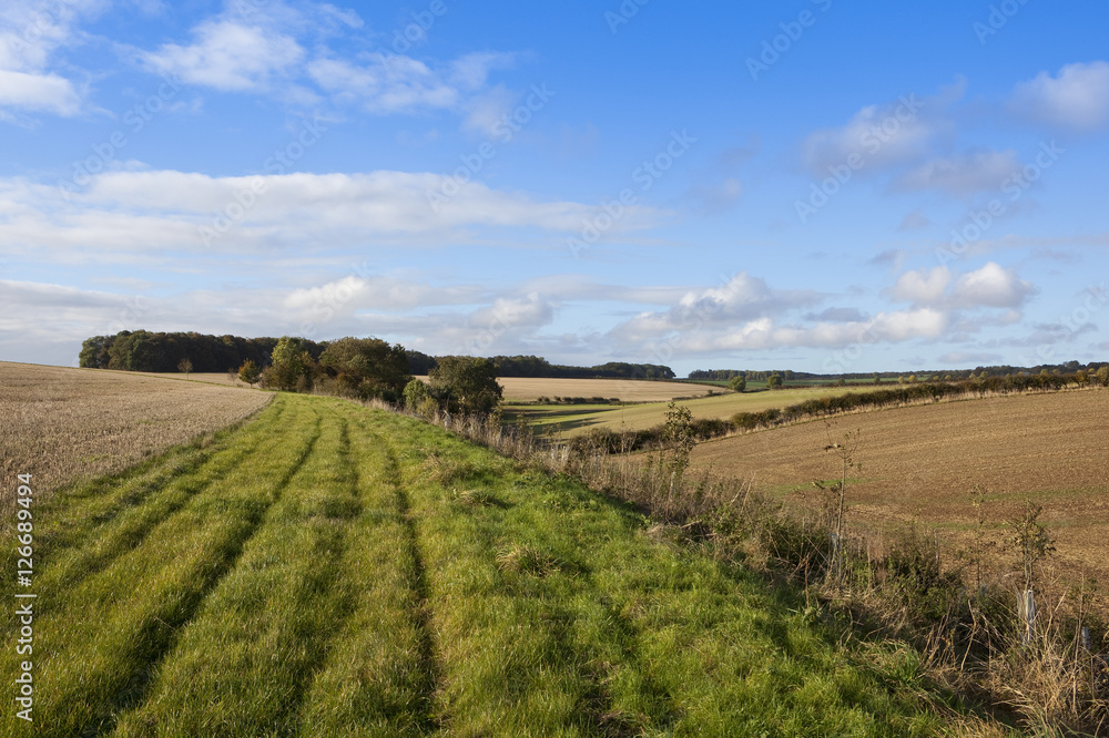 rural footpath rural footpath