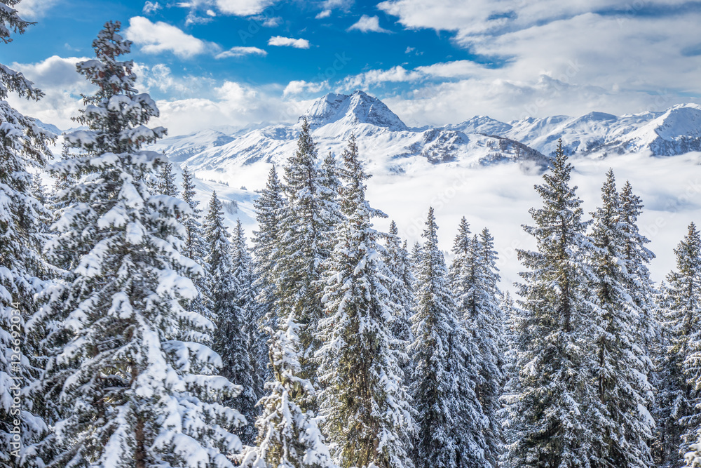Trees and mountains covered by fresh snow in Kitzbühel ski resort, Tyrolian Alps, Austria