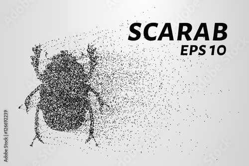 The scarab of the particles. The scarab is made up of little circles and dots.